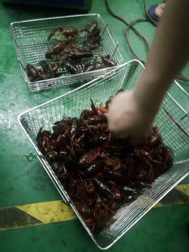 小龍蝦超聲波清洗機(jī)洗蝦機(jī)